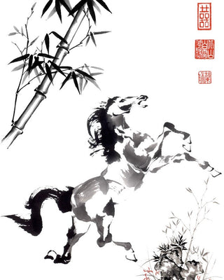 The Horse Collection