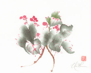 Delicate One