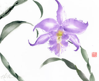 Bold Bloom