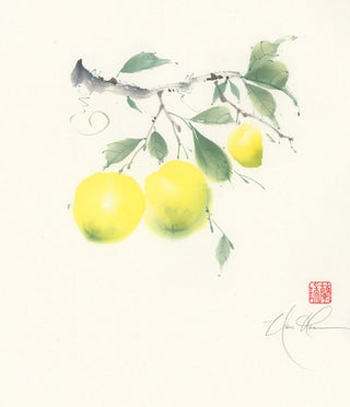 Ready for Your Pleasure