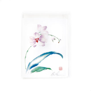 Floral Assorted Card Set II