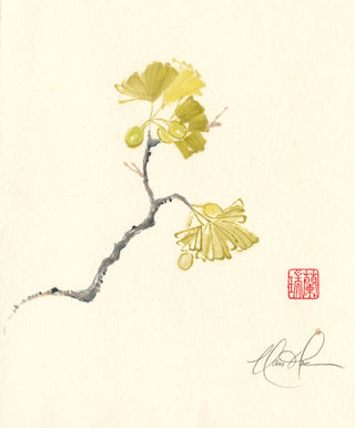 Ginkgo Biloba