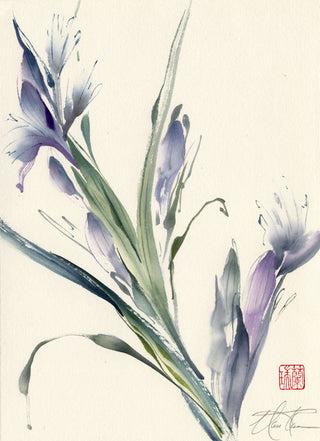 Iris III
