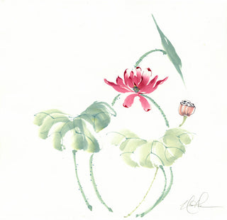 EmbracingLotus
