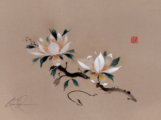 Magnolia IV