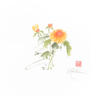 Sunshine in the Garden