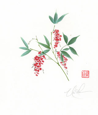 Nandina: Heavenly Bamboo