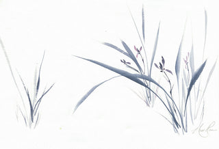 Chaste Orchids