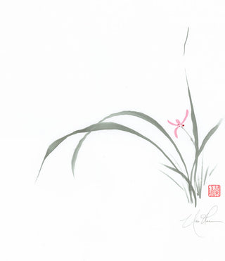 Elegant Orchid
