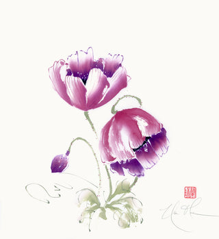 Hope Springs