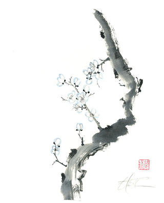 Plum Blossoms III