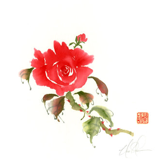 PureRose