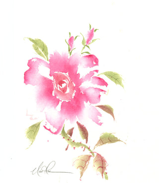 Floral Studies -Rose IX