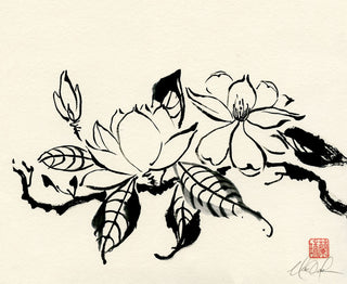 Studies in Ink -Magnolia I