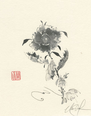 Studies in Ink -Rose I