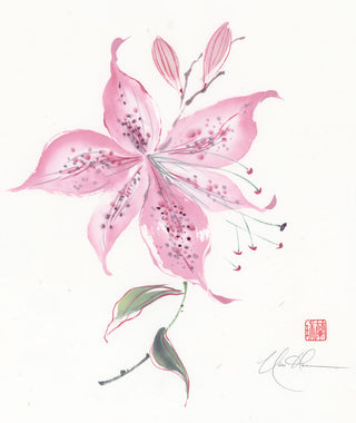 Delicate Dance