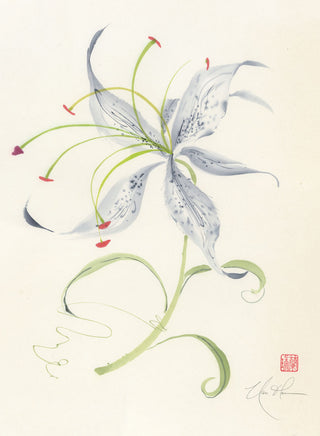 Rhapsodic of Grace