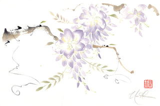 Soft Spring