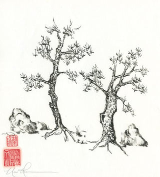 Trees Converse