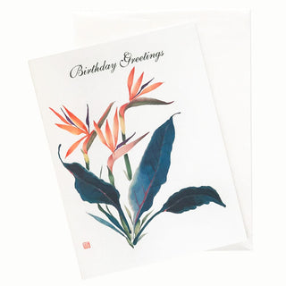 20-22B Tradewinds Birthday Card by Nan Rae