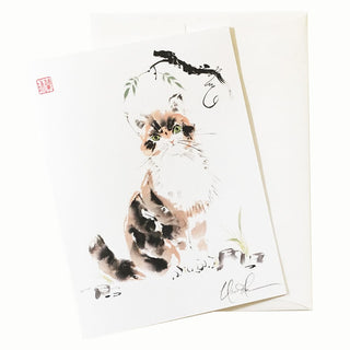20-43 Jellicle Cat © Nan Rae