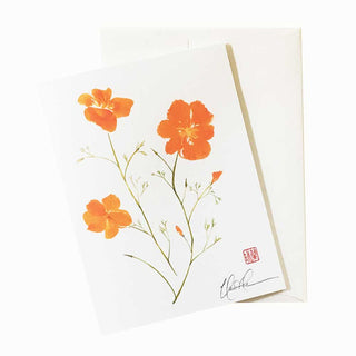 20-46 California Poppy by Nan Rae