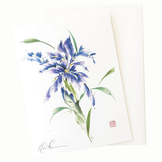 22-37 Fresh Card © Nan Rae