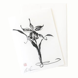24-10 Cattleya II Card © Nan Rae