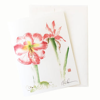 24-46 Amaryllis Fireworks © Nan Rae