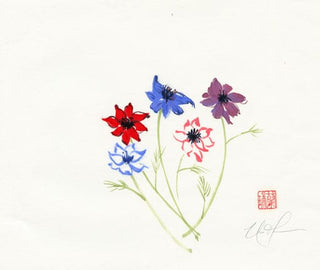 anemone