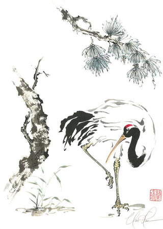 crane bird