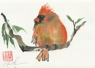 robin
