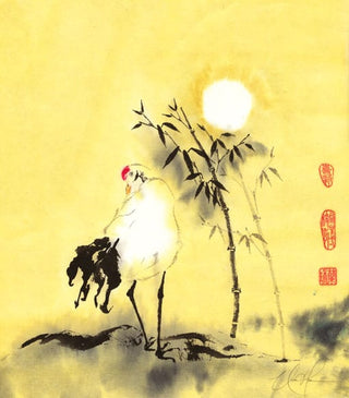 bird