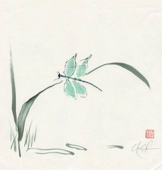 dragonfly