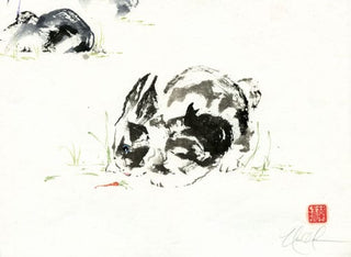 rabbit