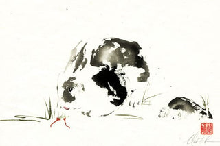 rabbit