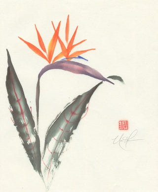bird of paradise
