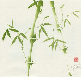 bamboo