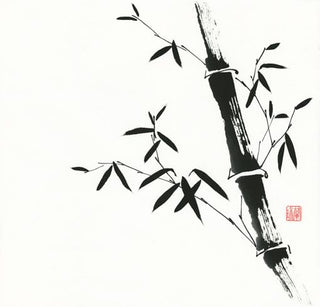 bamboo
