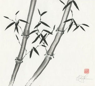 bamboo