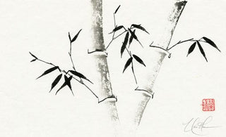 bamboo