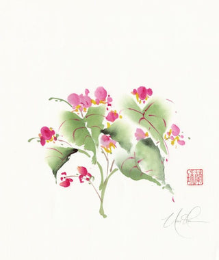 begonia