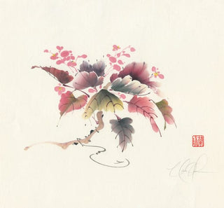 begonia