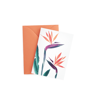 Bird of Paradise Gift Enclosure