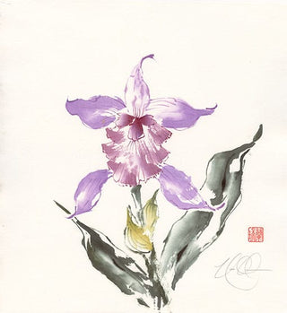 Cattleya painting by Nan Rae