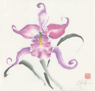 Cattleya