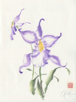 cattleya