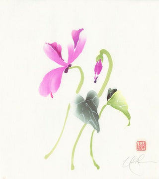 cyclamen