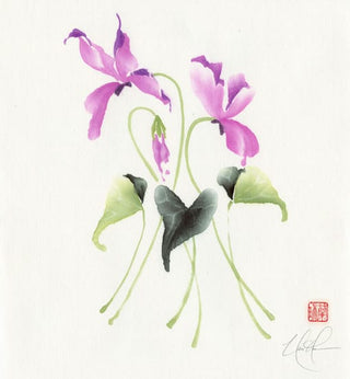 cyclamen
