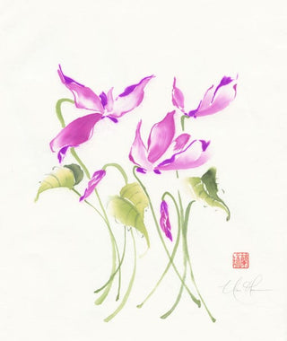cyclamen